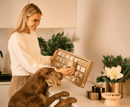 Adventskalender 2026