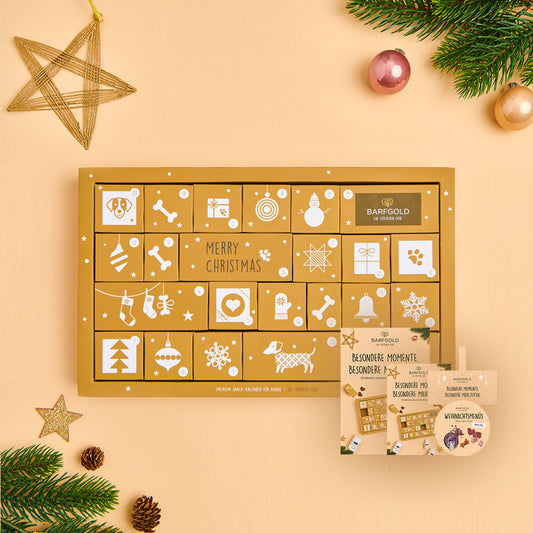 Adventskalender 2025 Bundle SALE